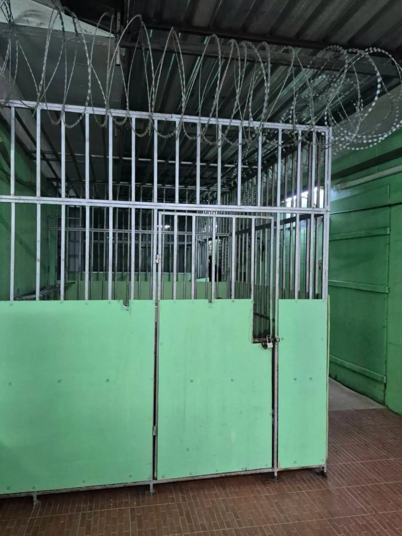 Thailand care centre investigation