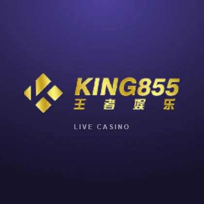 King855 老虎机，开发商 —